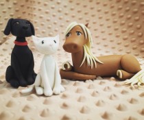 Introduction to Animal Modelling
